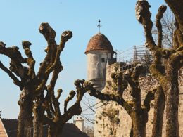 Découvrir la destination d'Avallon