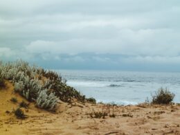 Un séjour dans les Landes