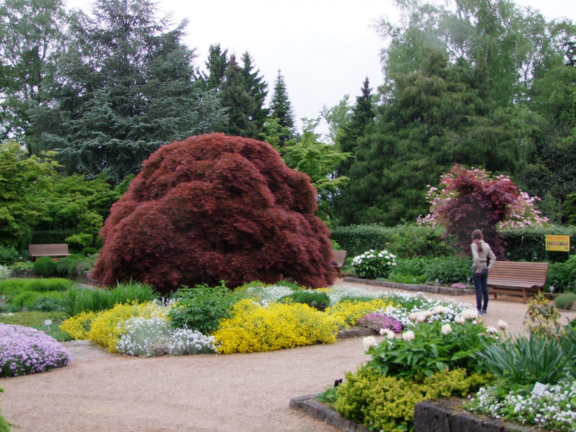 Le jardin botanique de Linz