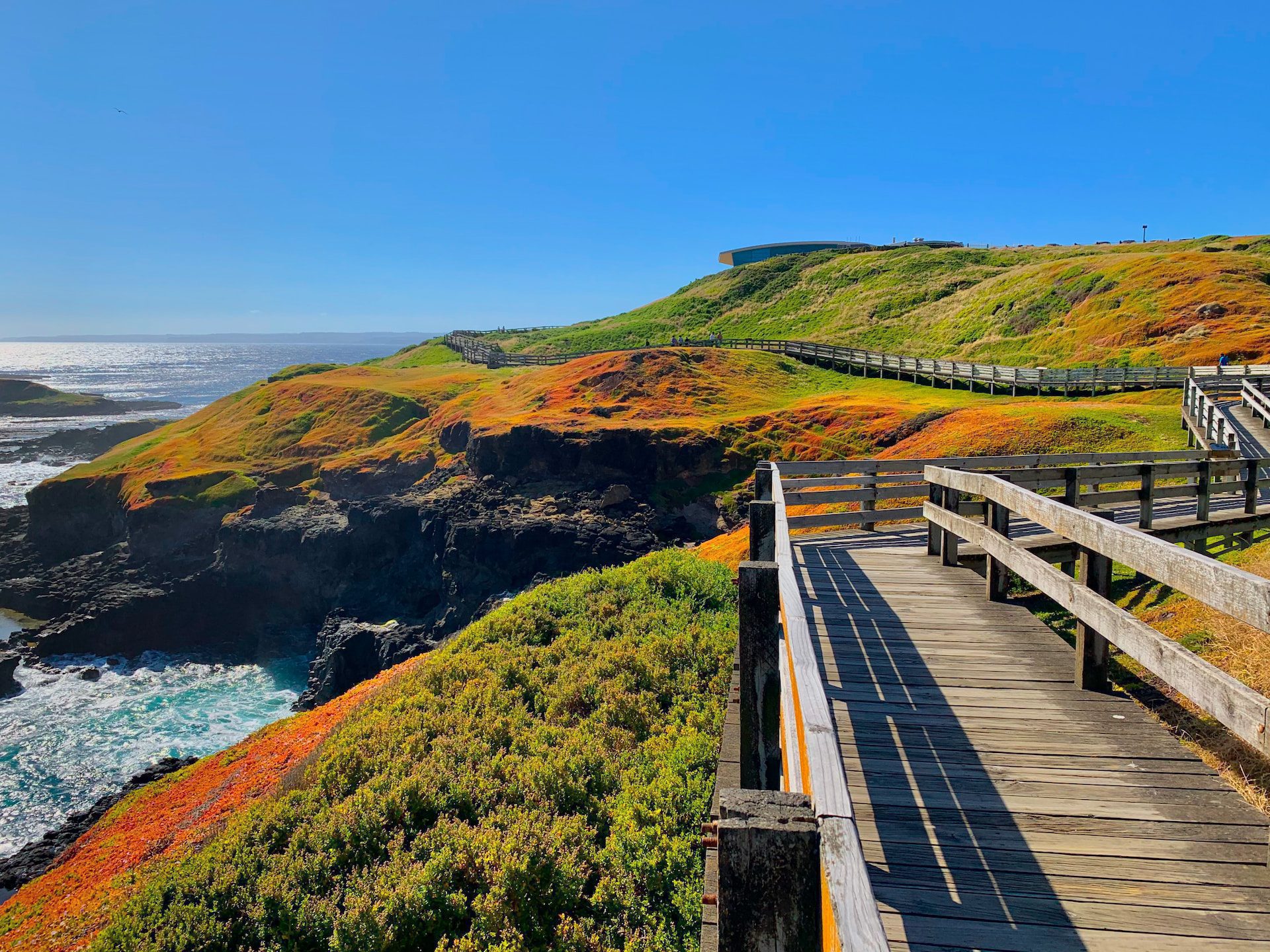 Découvrez l'île de Phillip Island