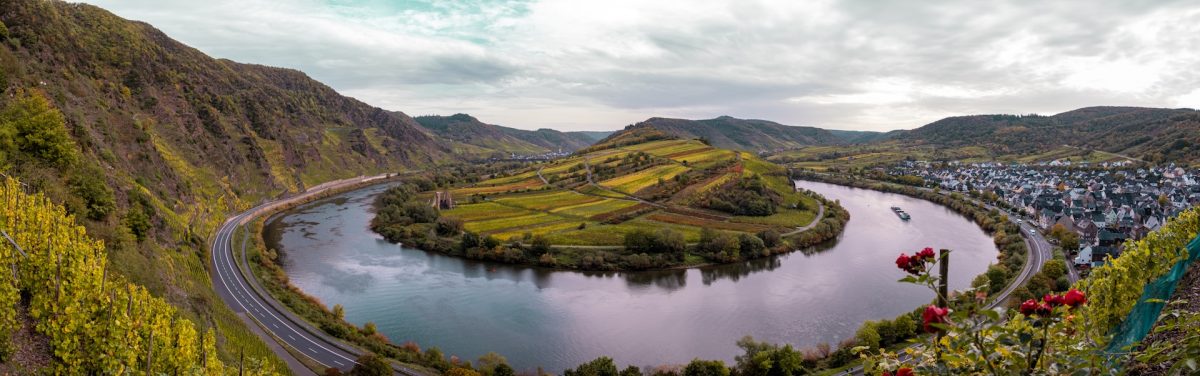 La vallée de la Moselle : Un paradis pour les amateurs de vin