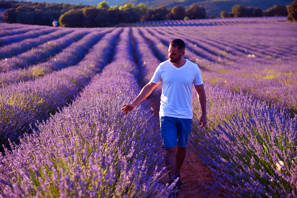 La beauté naturelle de la Provence