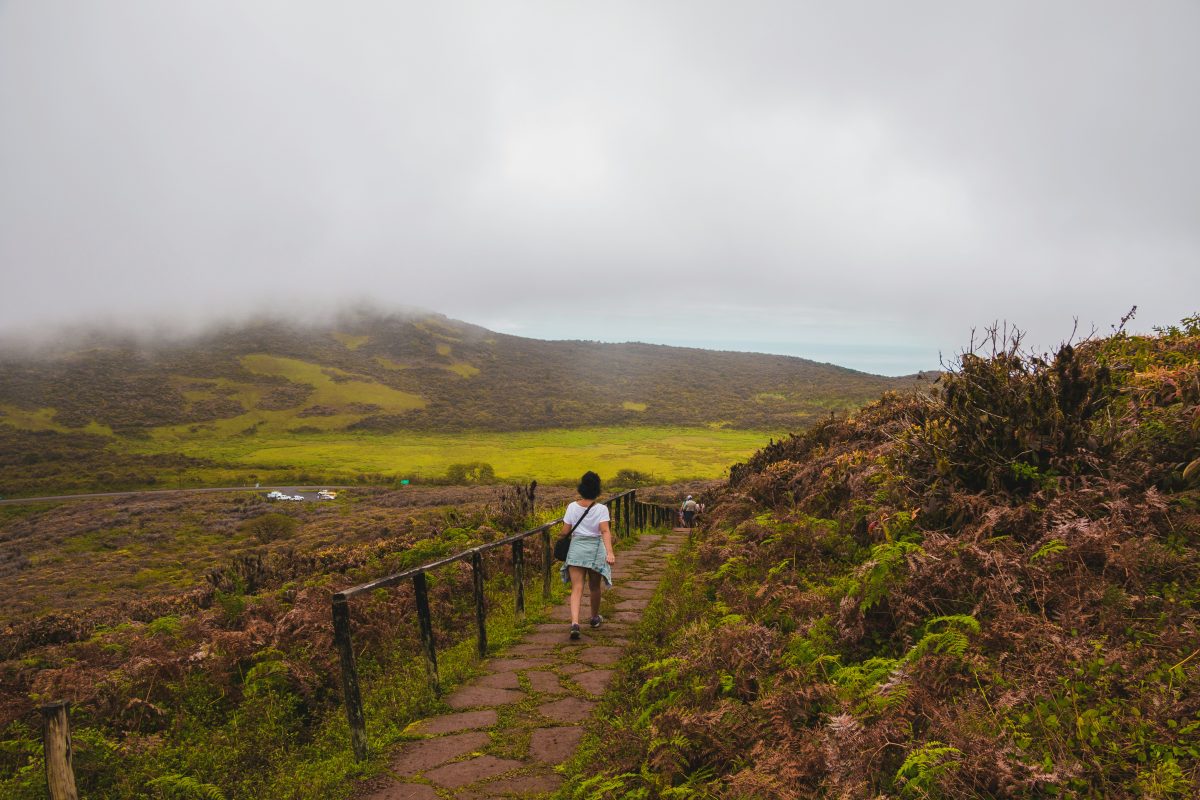 Les îles Galápagos