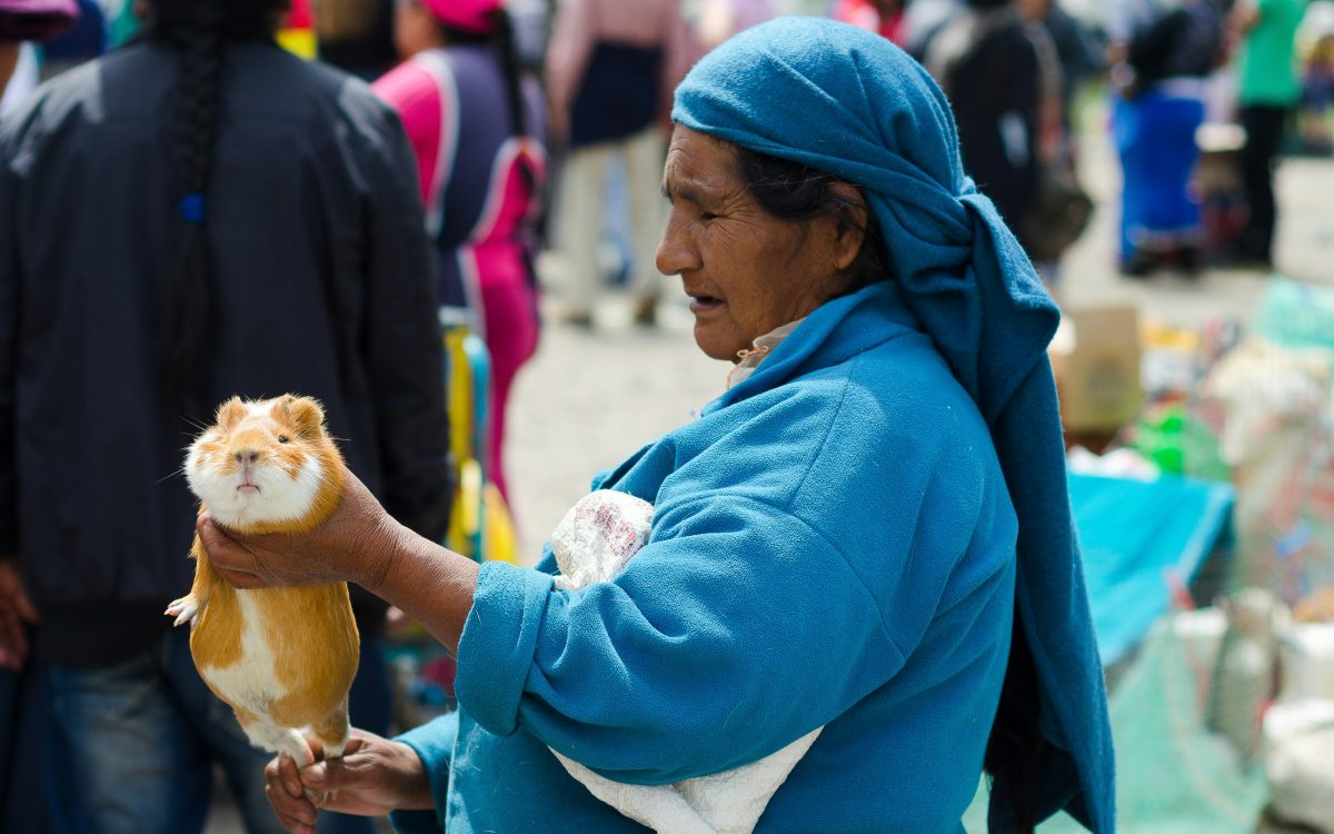 Otavalo 