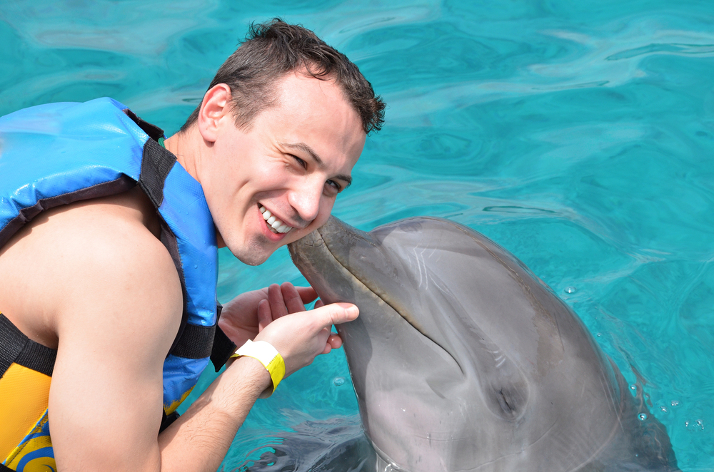 Nager avec les dauphins et les baleines à Saint-Gilles