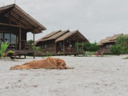 Quand partir à Koh Rong Sanloem : Un guide saisonnier pour découvrir cette île paradisiaque cambodgienne