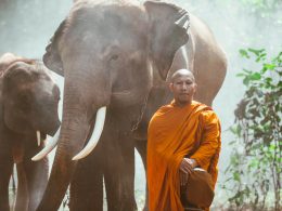 Voyager au Cambodge : Comment les touristes peuvent protéger l'environnement tout en découvrant une destination gay-friendly