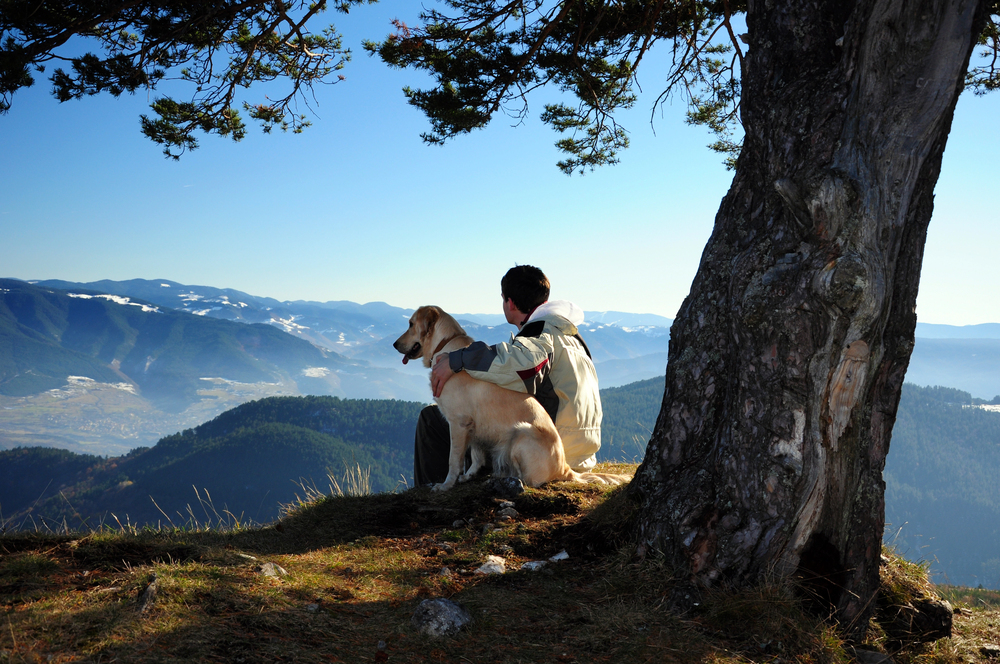 Top 4 des pays où voyager avec son chien