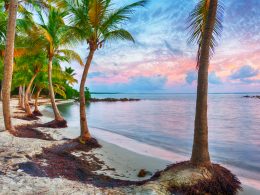 Découvrir Basse-Terre, la perle verte de la Guadeloupe